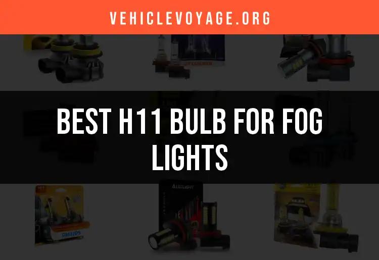 Top 11 H11 Bulbs for Fog Lights You Need to Consider