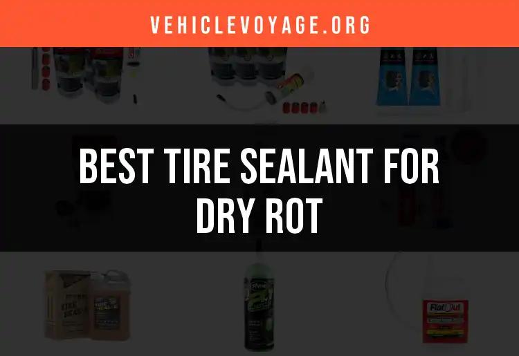 14 Best Tire Sealants for Dry Rot Revealed